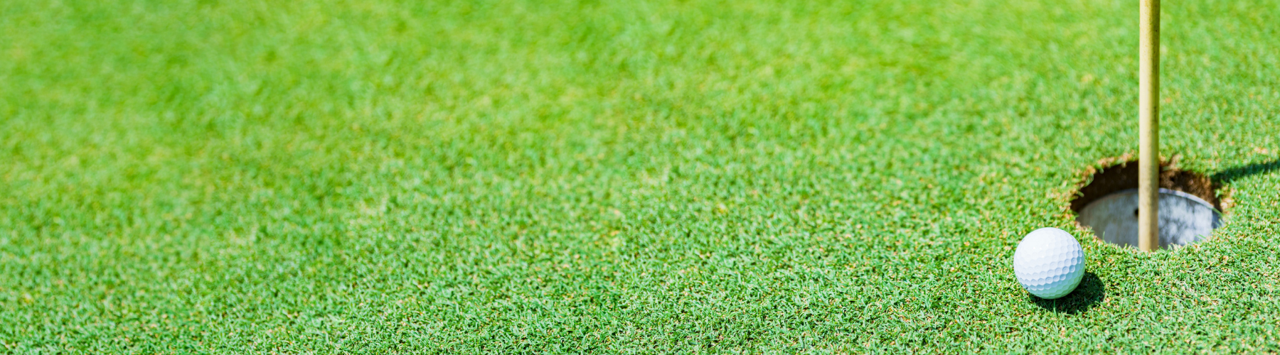 Annual Charity Golf Classic